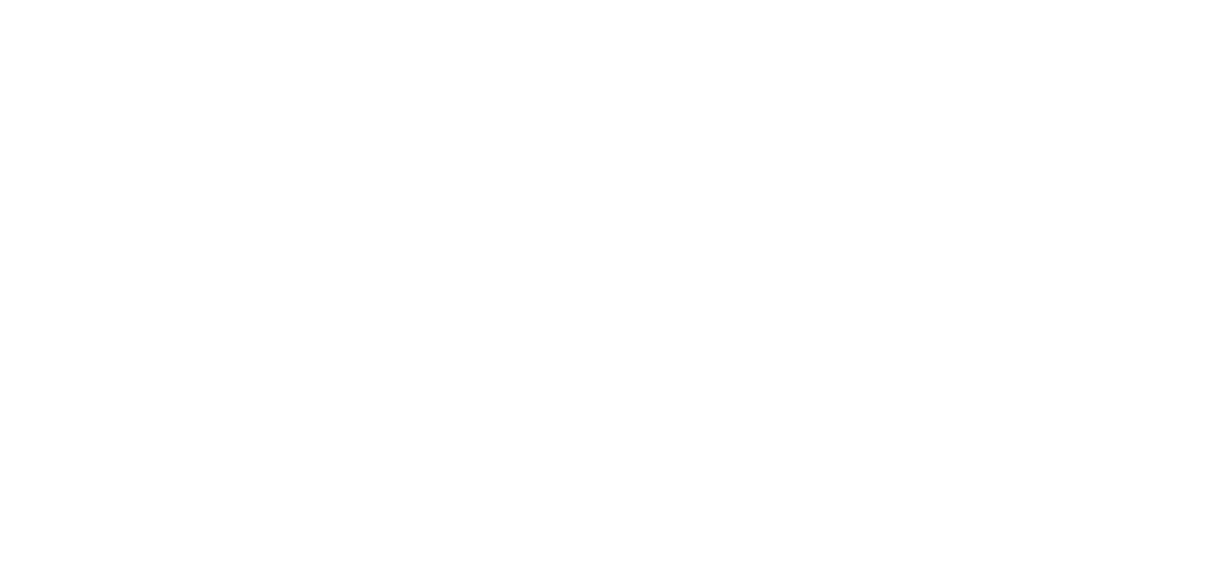 Samwize